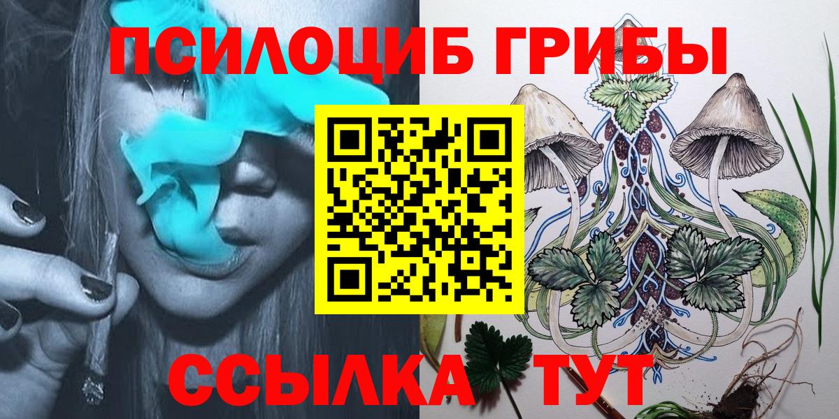 Галлюциногенные грибы Psilocybine cubensis Жуковский