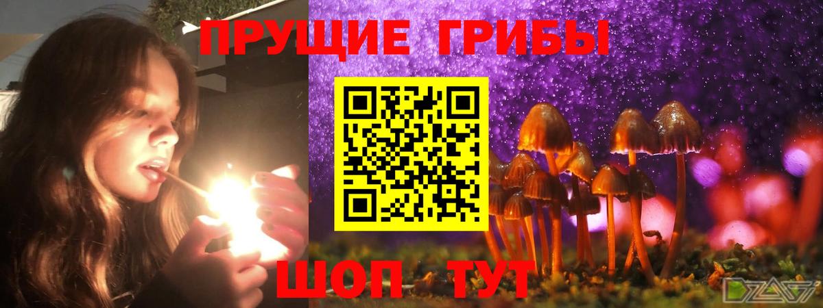 Жуковский  Галлюциногенные грибы ЛСД  Вход с VPN  Псилоцибиновые грибы ЛСД 